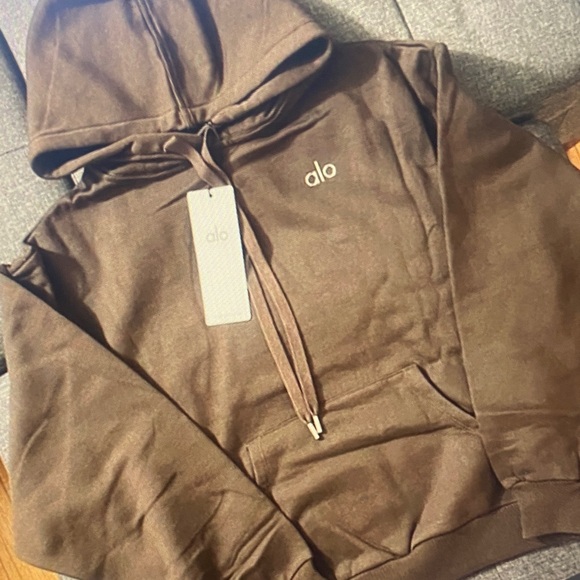 ALO Yoga Men's Chocolate Brown Hoodie - Picture 3 of 5